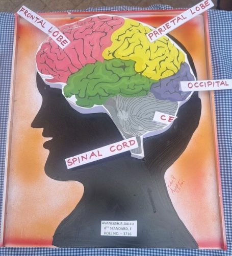 National Science Day